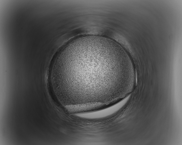 X0000088460483200705291533