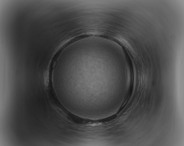 X0000088460484200705291533