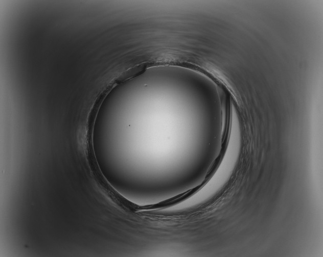 X0000088460485200705291533