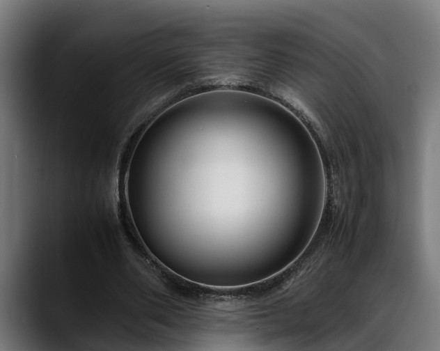 X0000088460486200705291533