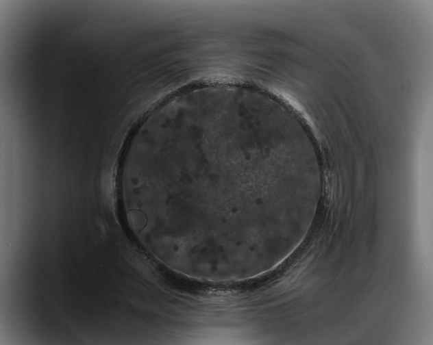 X0000088460487200705291533