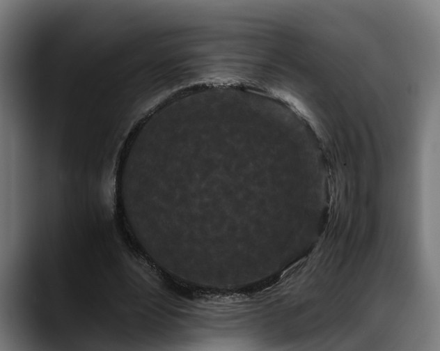 X0000088460488200705291533