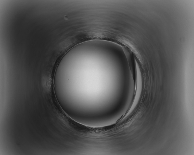 X0000088460489200705291533