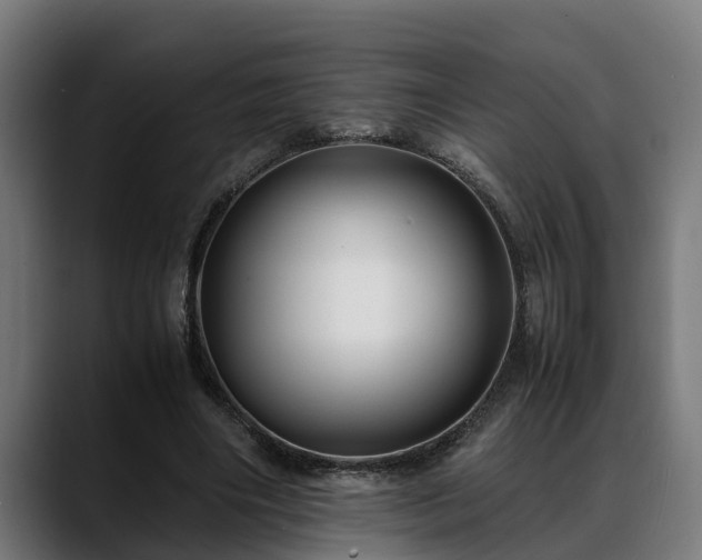 X0000088460490200705291533