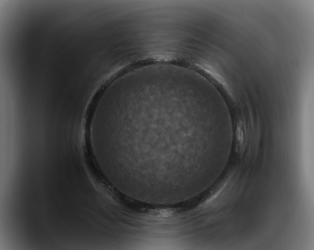 X0000088460492200705291533