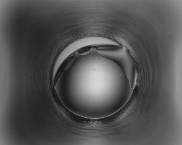 X0000088460493200705291533