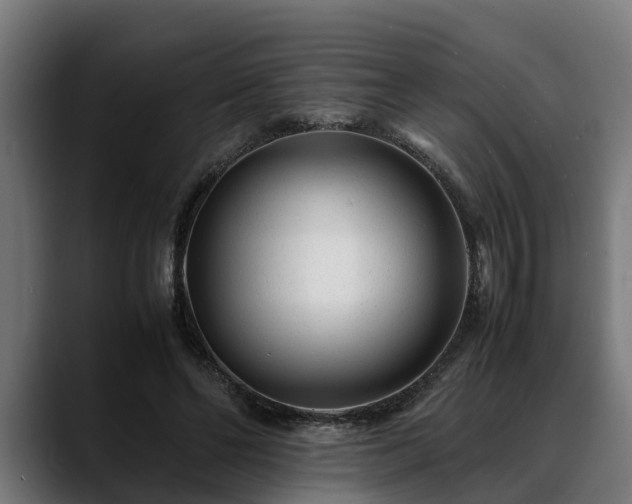 X0000088460494200705291533