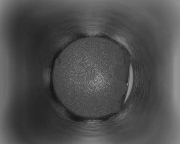 X0000088460495200705291533