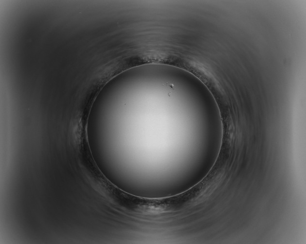 X0000088460498200705291533