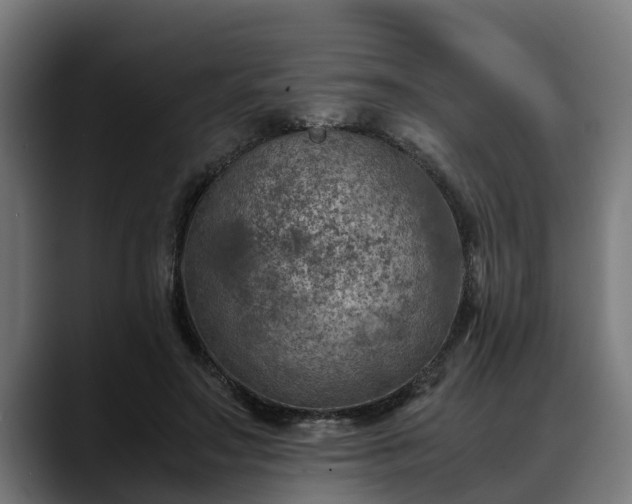 X0000088460499200705291533