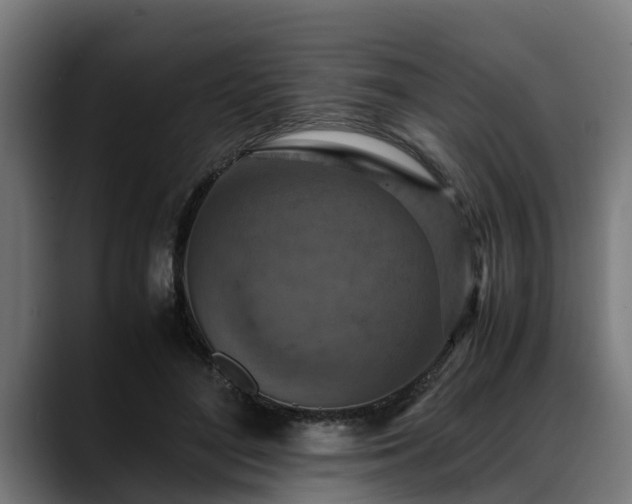 X0000088460500200705291533