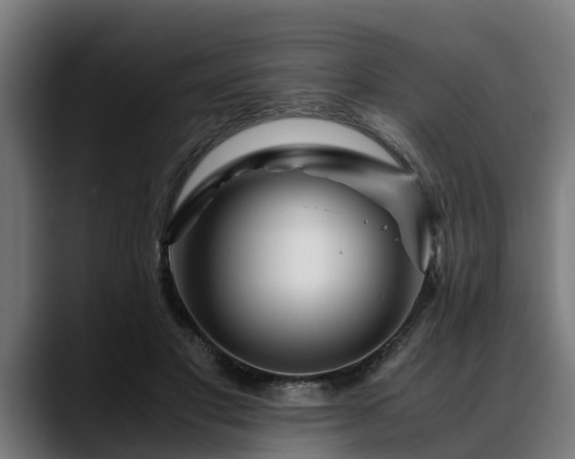 X0000088460501200705291533