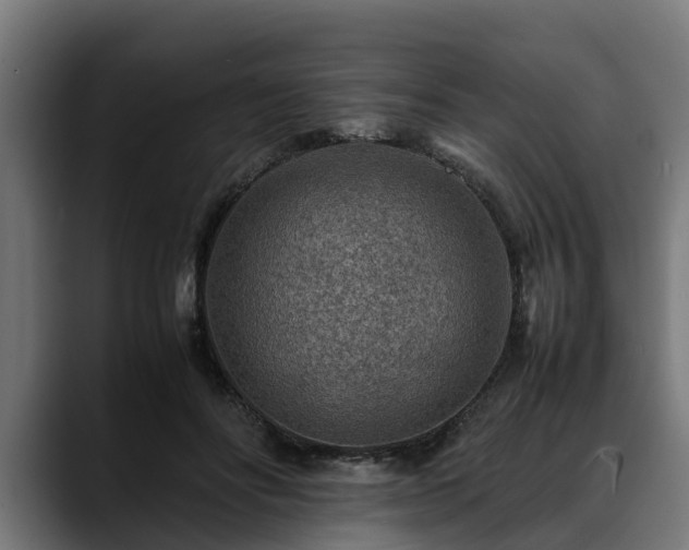 X0000088460502200705291533