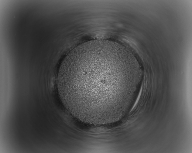 X0000088460503200705291533