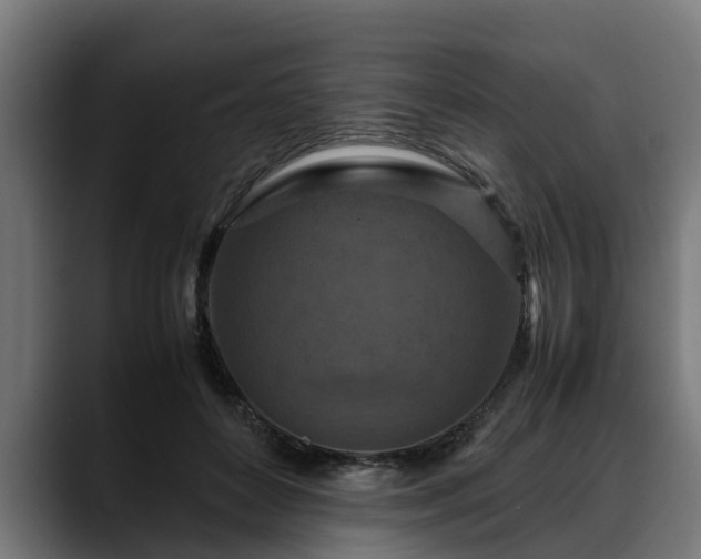 X0000088460504200705291533