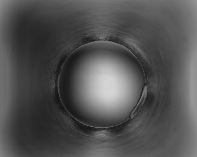 X0000088460505200705291533