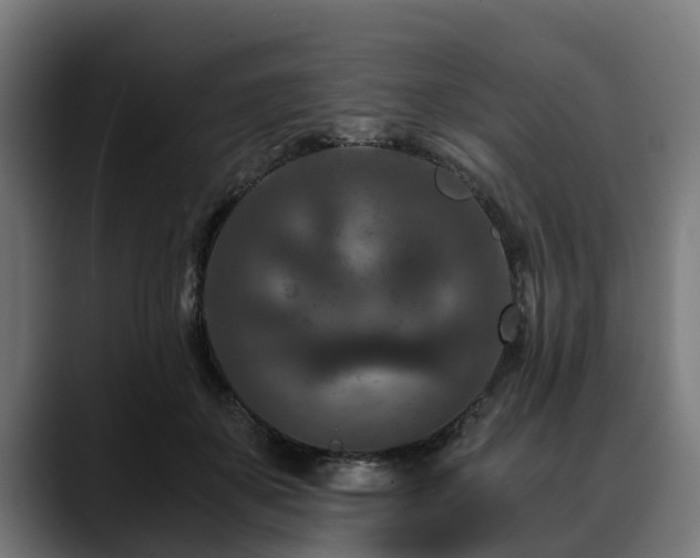 X0000088460507200705291533