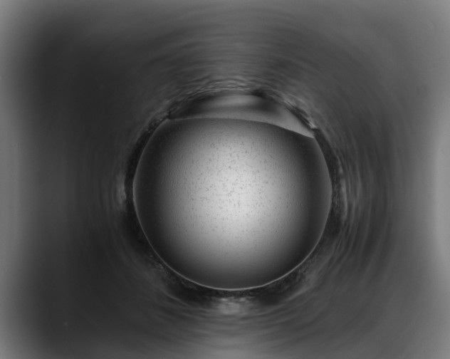 X0000088460508200705291533