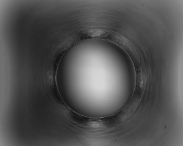 X0000088460510200705291533