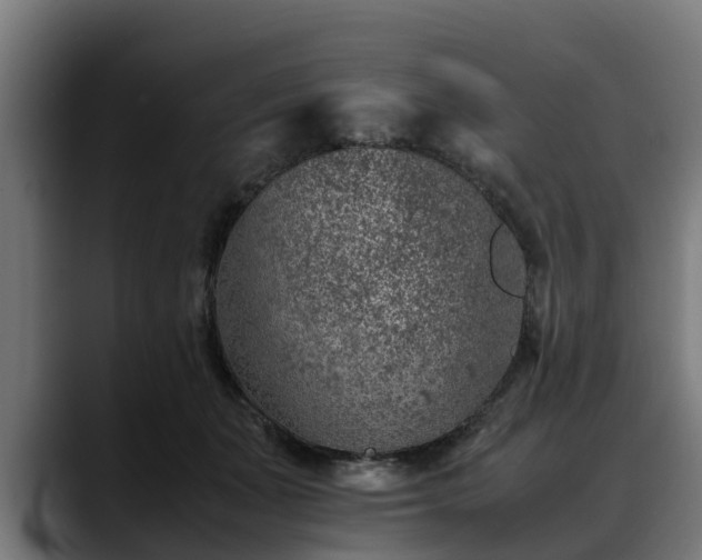 X0000088460511200705291533