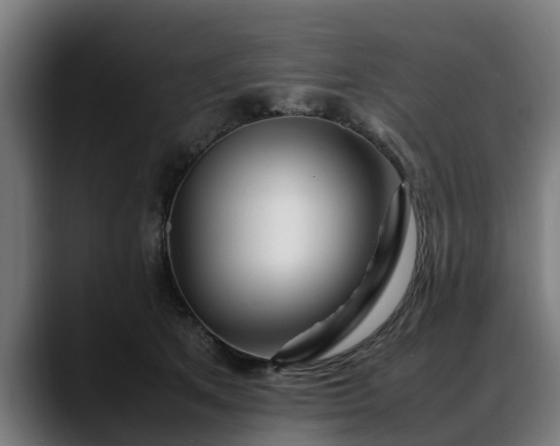 X0000088460513200705291533