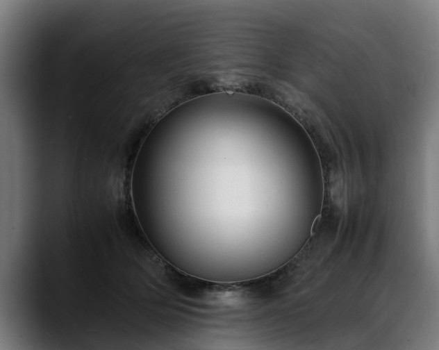 X0000088460514200705291533