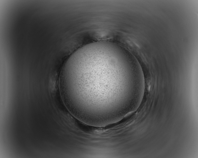 X0000088460515200705291533