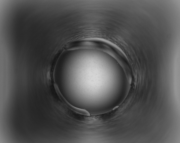 X0000088460516200705291533