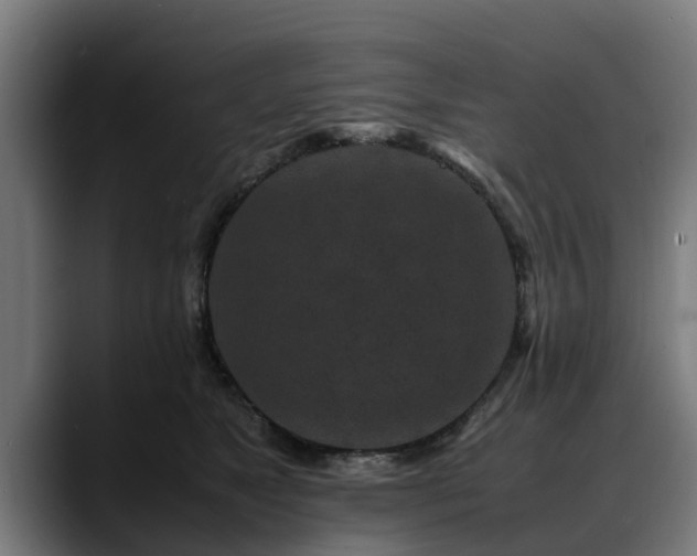 X0000088460517200705291533