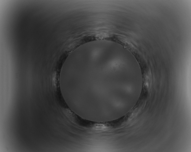 X0000088460519200705291533