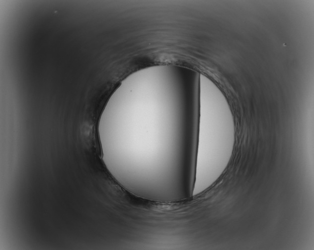 X0000088460521200705291533