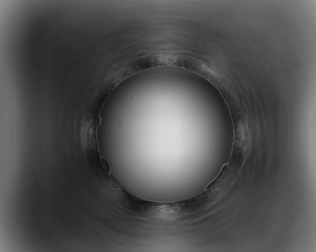 X0000088460522200705291533