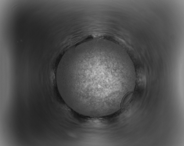 X0000088460523200705291533