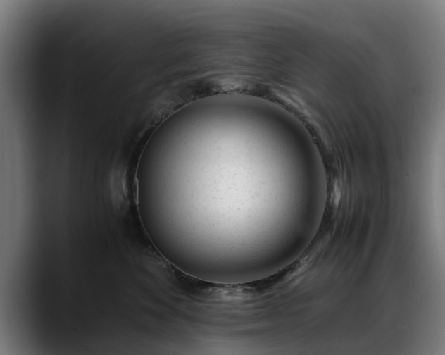 X0000088460524200705291533