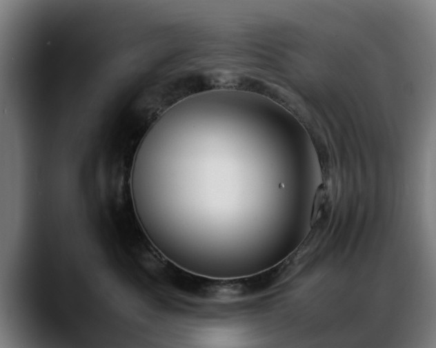 X0000088460525200705291533