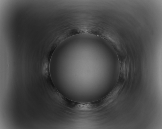 X0000088460526200705291533