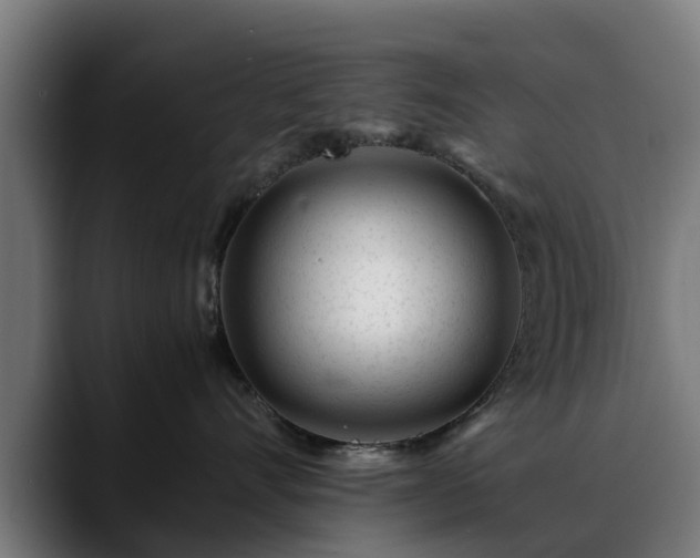 X0000088460528200705291533