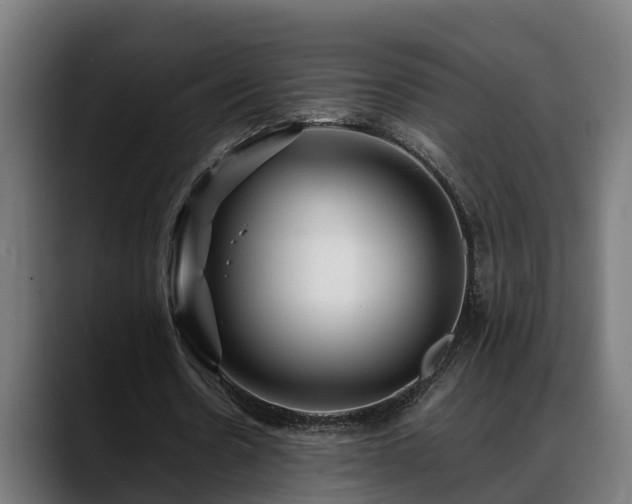 X0000088460530200705291532