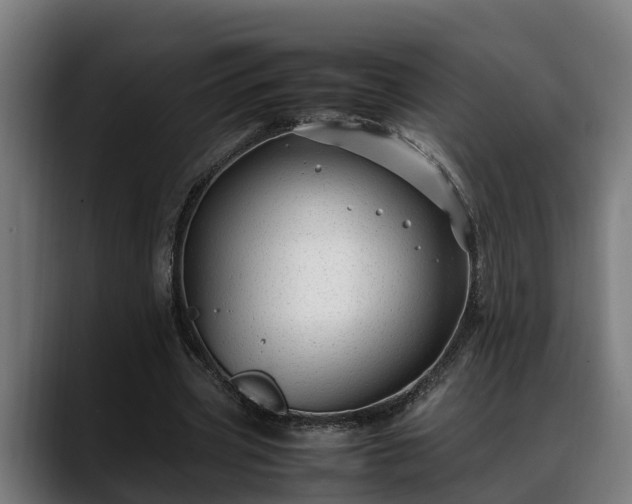 X0000088460533200705291532