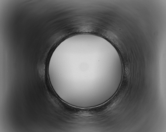 X0000088460534200705291532