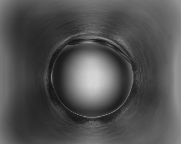 X0000088460536200705291532