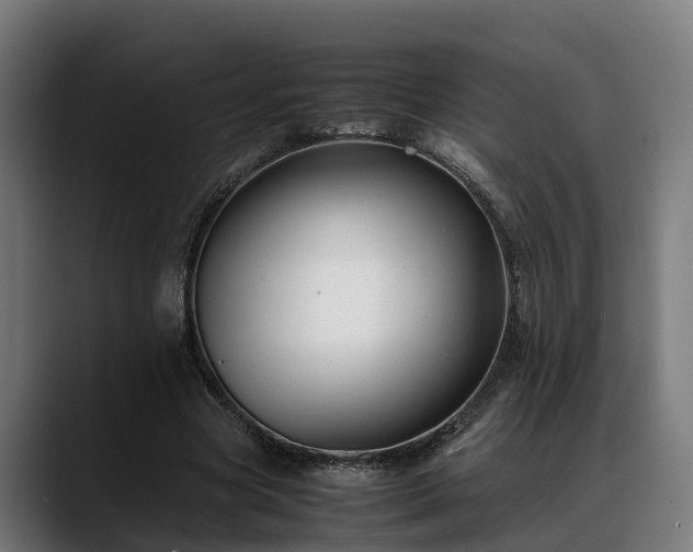 X0000088460537200705291532