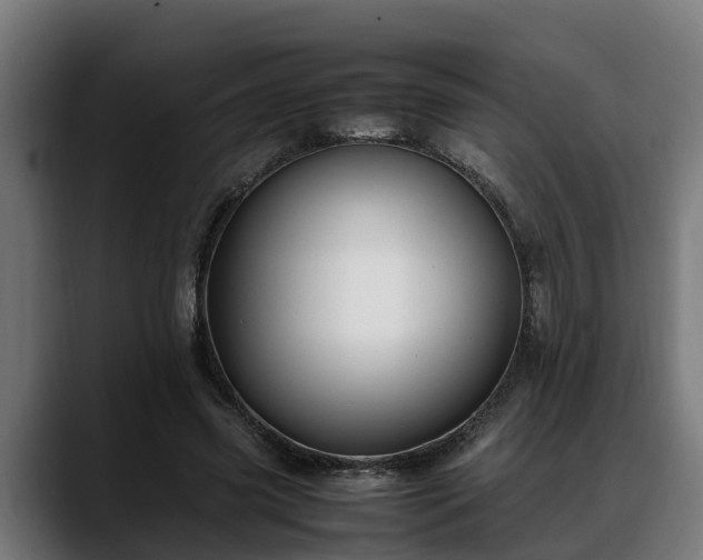 X0000088460541200705291532