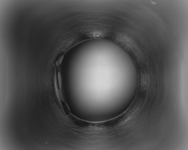 X0000088460545200705291532