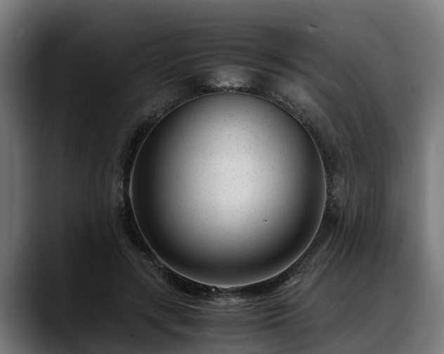 X0000088460547200705291532