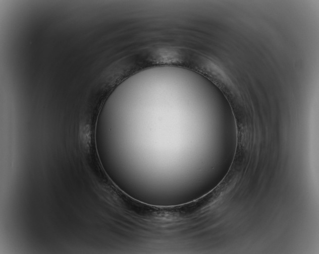 X0000088460549200705291532