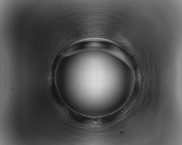 X0000088460552200705291532