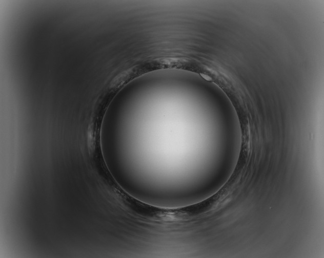 X0000088460558200705291532