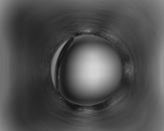 X0000088460559200705291532