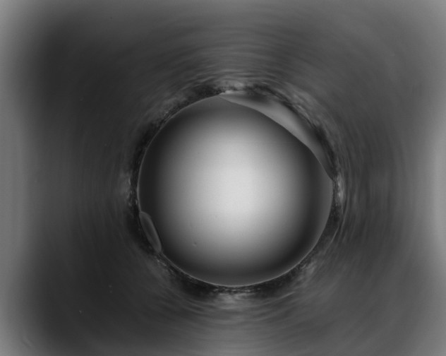 X0000088460560200705291532